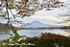 「秋の富士五湖巡り」写真集(01)