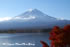 「秋の富士五湖巡り」写真集(35)