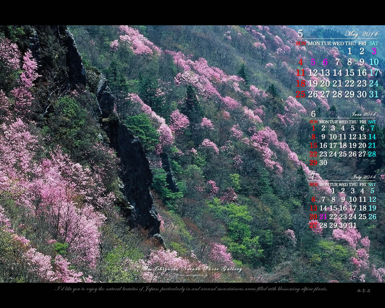 14年5月の無料カレンダー壁紙 1280x1024 アケボノツツジ 石鎚自然写真館