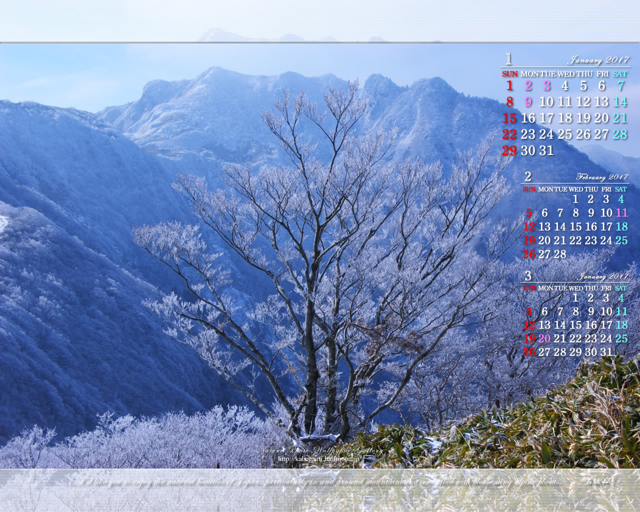 今月の壁紙カレンダー「霧氷の伊予富士」