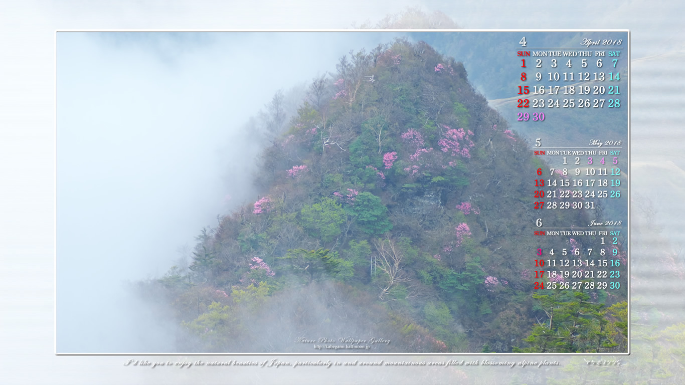 今月の壁紙カレンダー「アケボノツツジ咲く峰」