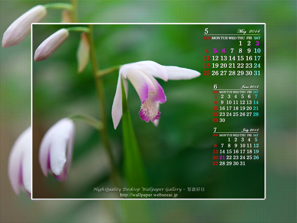 今月のカレンダー【1024x768】 鈴蘭の壁紙/Monthly Wallpaper (1024×768)