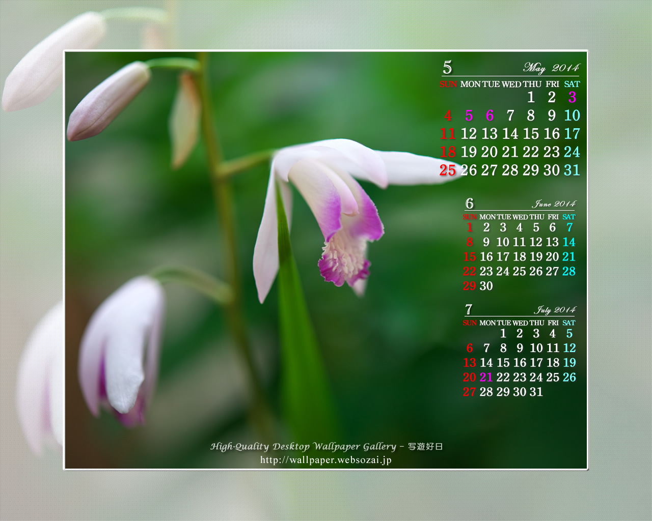 今月のカレンダー【1280x1024】 鈴蘭の壁紙/Monthly Wallpaper (1280×1024)