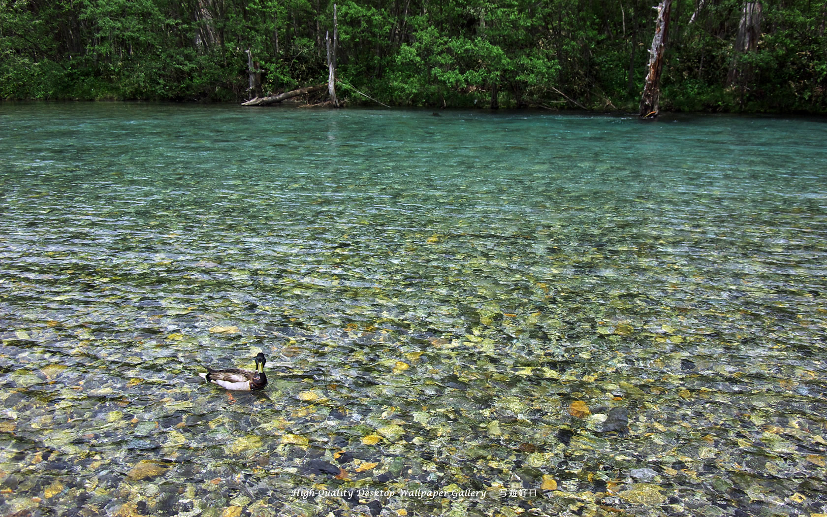 梓川の高画質・高解像度壁紙／Wallpaper of Kamikochi (1680×1050)