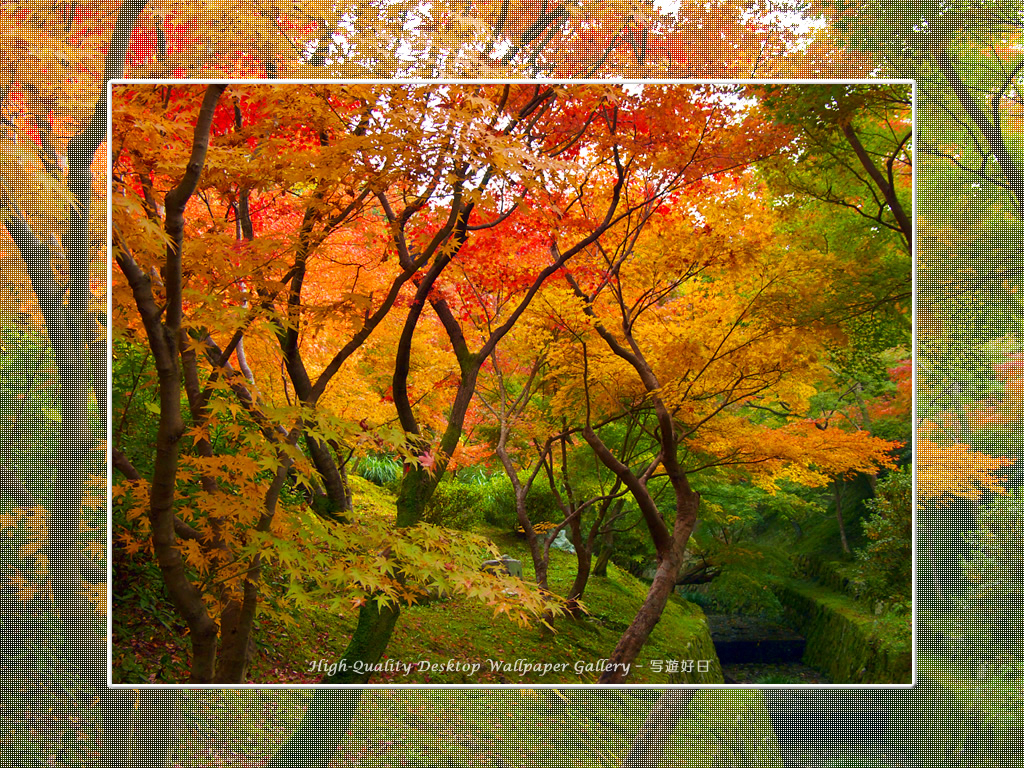 京都の壁紙 東福寺の紅葉 1 高画質デスクトップ壁紙館 写遊好日 High Quality Desktop Wallpaper Gallery