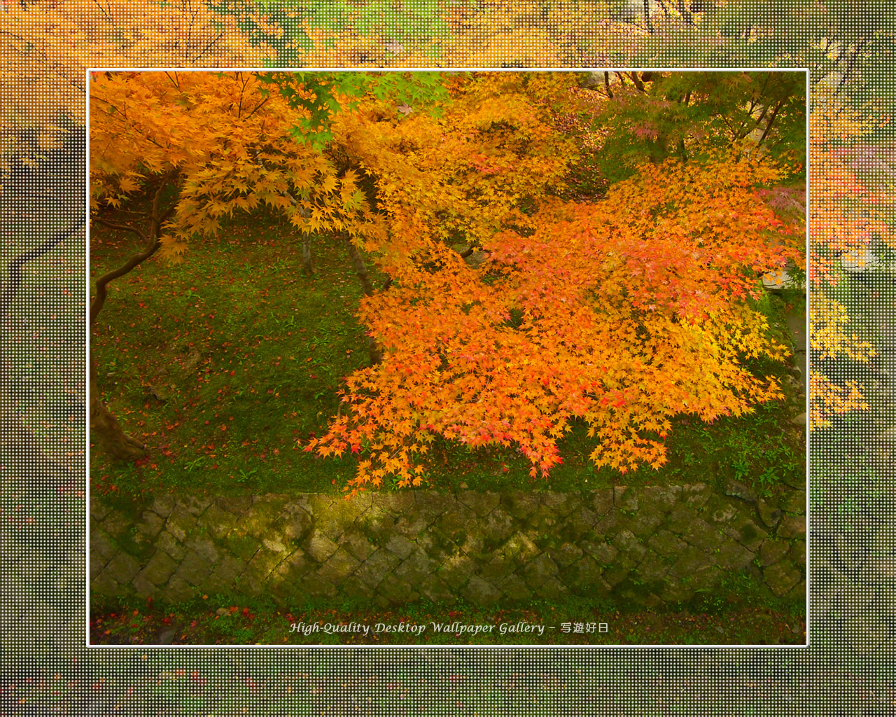東福寺の紅葉(4)の壁紙/Wallpaper of Kyoto in Autumn (1280×1024)