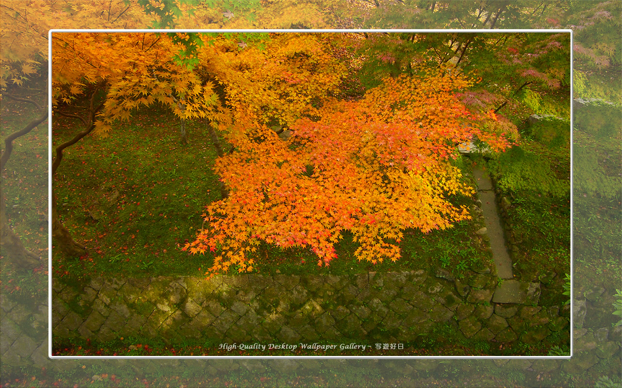 東福寺の紅葉(4)の壁紙/Wallpaper of Kyoto in Autumn (1280×800)