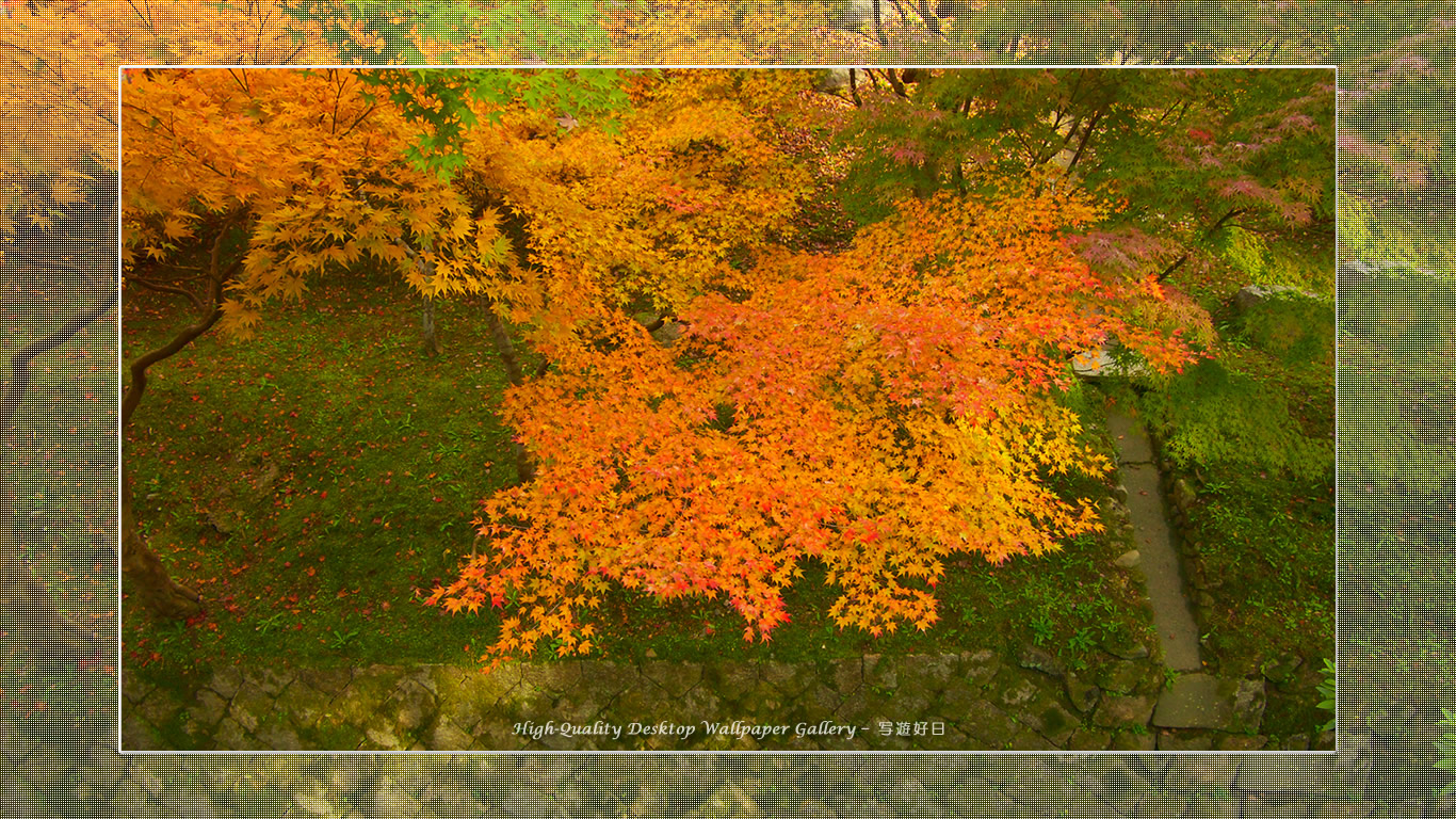 東福寺の紅葉(4)の壁紙/Wallpaper of Title in Kyoto in Autumn (1366×768)