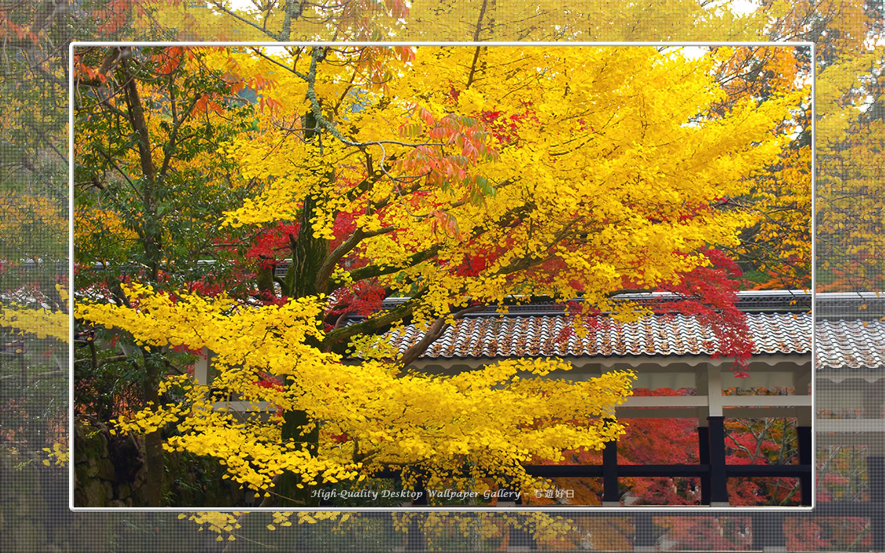 南禅寺(2)の壁紙/Wallpaper of Kyoto in Autumn (1280×800)