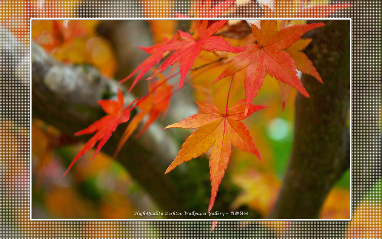 南禅寺（５）の壁紙／Wallpaper of Kyoto in Autumn (1280×800)