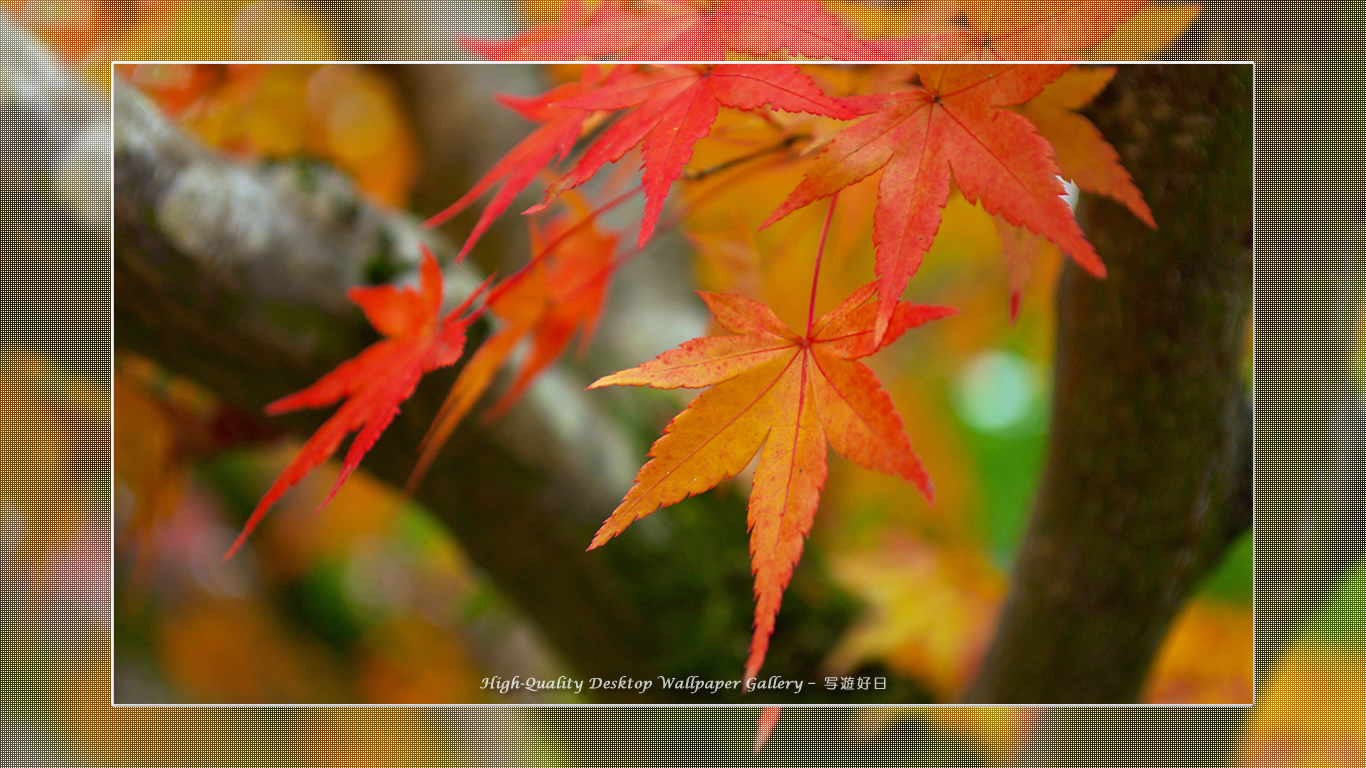 南禅寺(5)の壁紙/Wallpaper of Title in Kyoto in Autumn (1366×768)