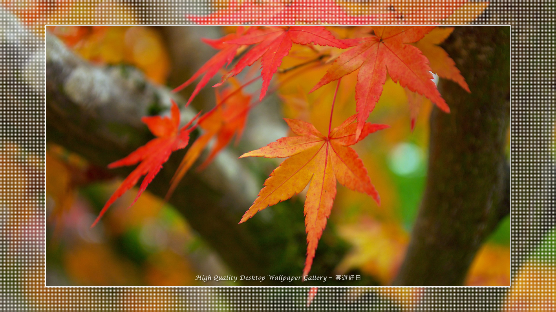 京都の壁紙 南禅寺 ５ 高画質デスクトップ壁紙館 写遊好日 High Quality Desktop Wallpaper Gallery