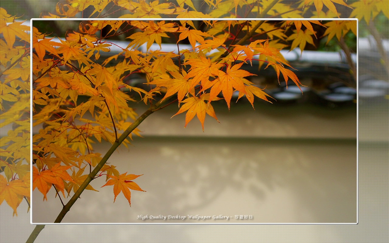 永観堂（１）の壁紙／Wallpaper of Kyoto in Autumn (1280×800)