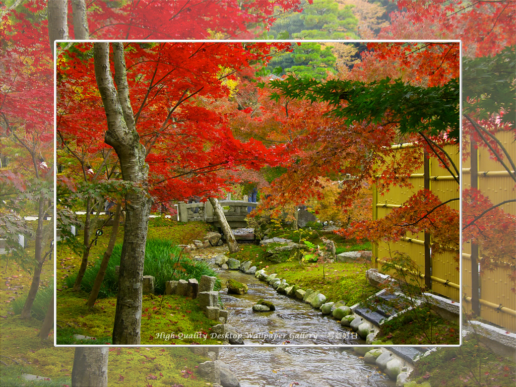 永観堂(3)の壁紙/Wallpaper of Kyoto in Autumn (1024×768)