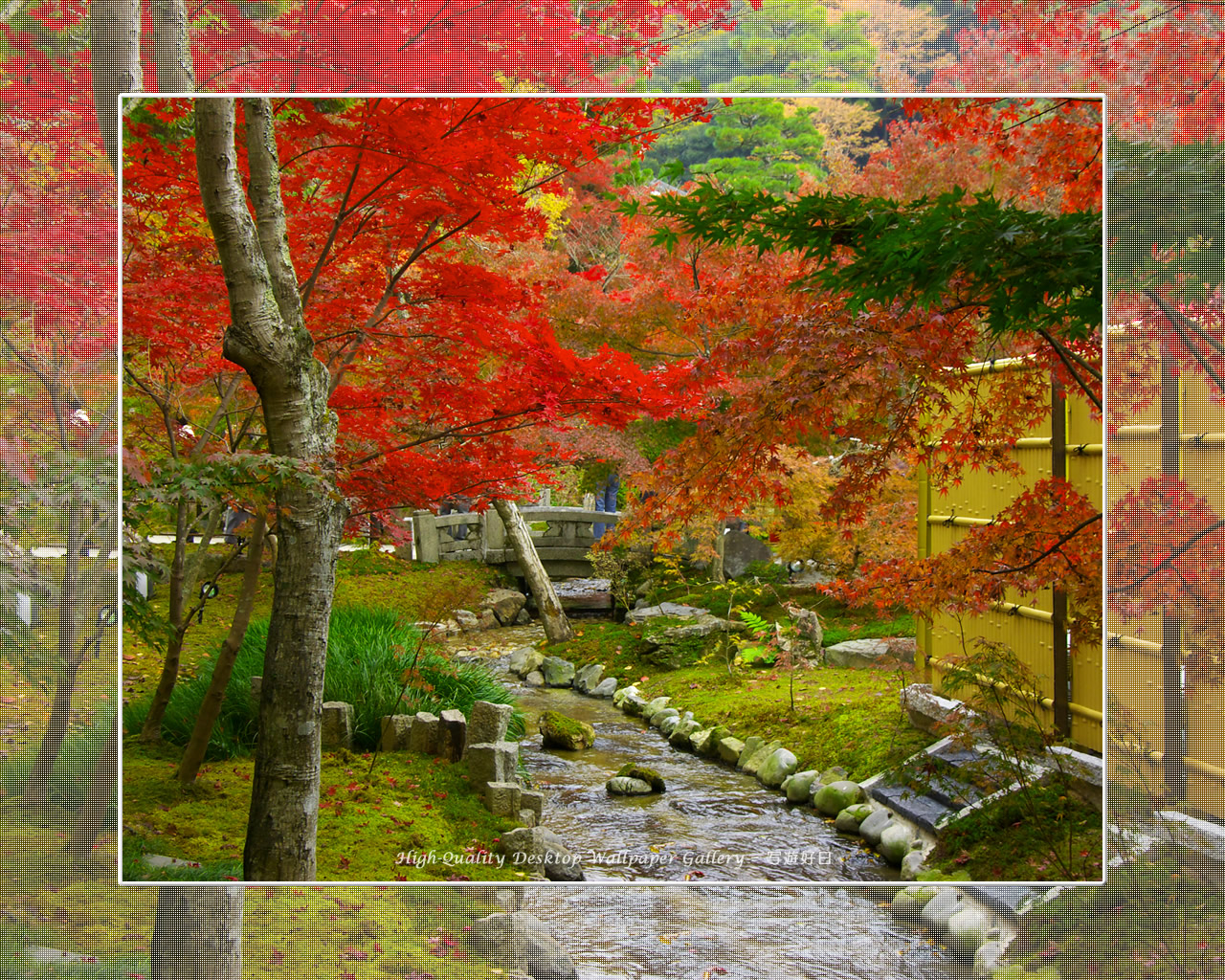 永観堂(3)の壁紙/Wallpaper of Kyoto in Autumn (1280×1024)