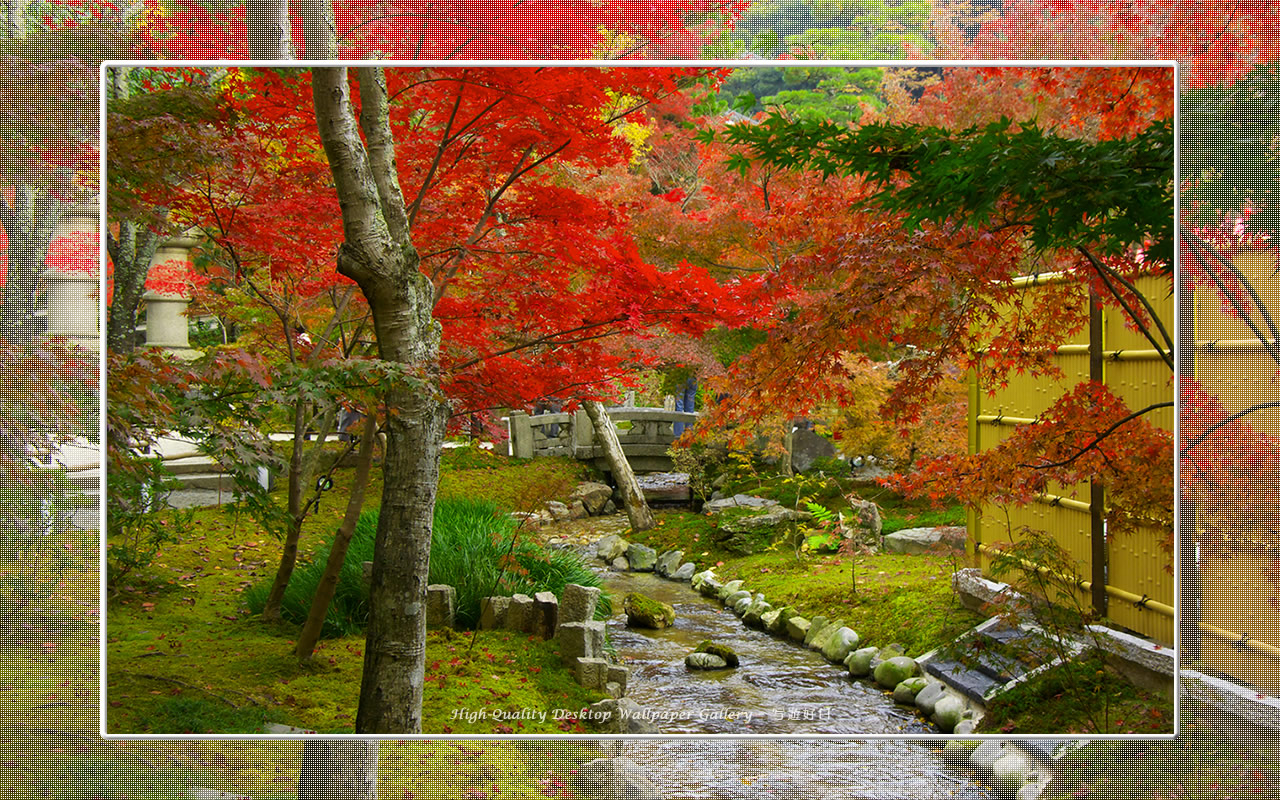 永観堂(3)の壁紙/Wallpaper of Kyoto in Autumn (1280×800)