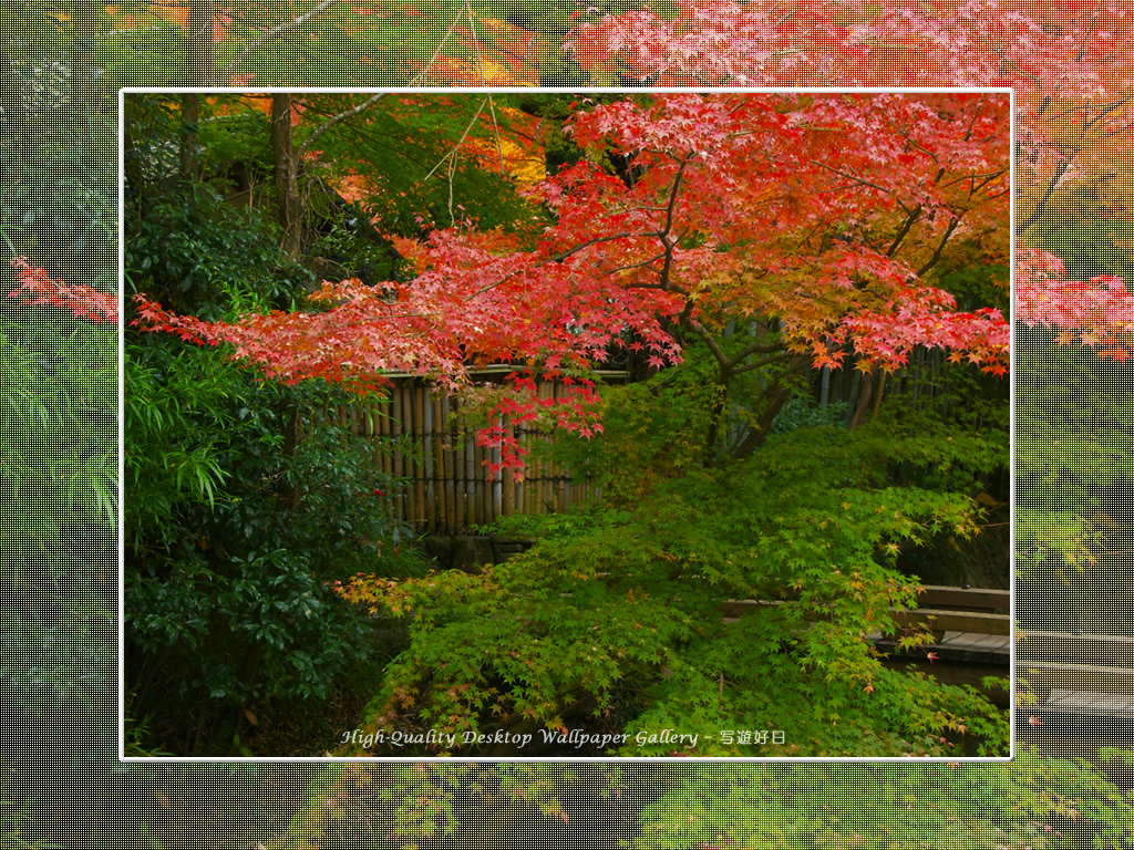 叶匠壽庵(哲学の道)の壁紙/Wallpaper of Kyoto in Autumn (1024×768)
