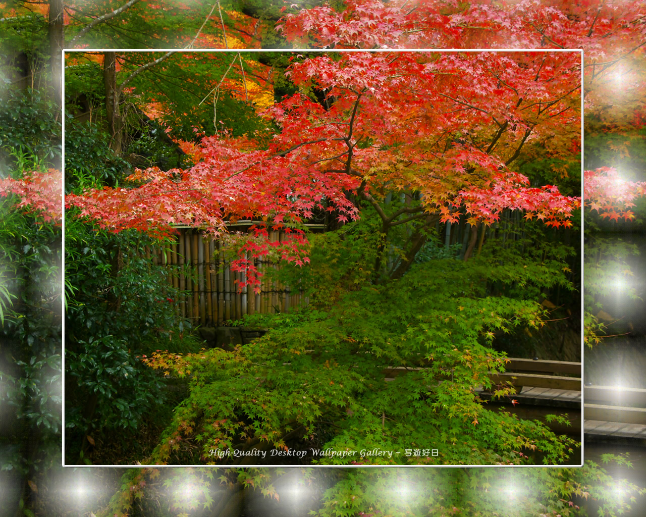叶匠壽庵(哲学の道)の壁紙/Wallpaper of Kyoto in Autumn (1280×1024)