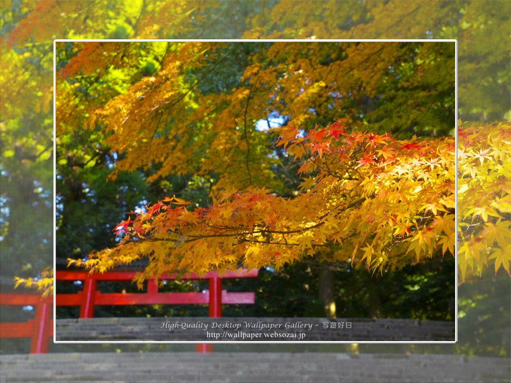 九州の風景 紅葉 霧島神宮 高画質デスクトップ壁紙館 写遊好日