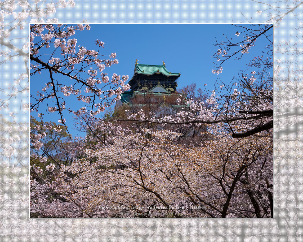 春爛漫の大阪城の壁紙/Wallpaper of Osaka Castle in spring (1280×1024)