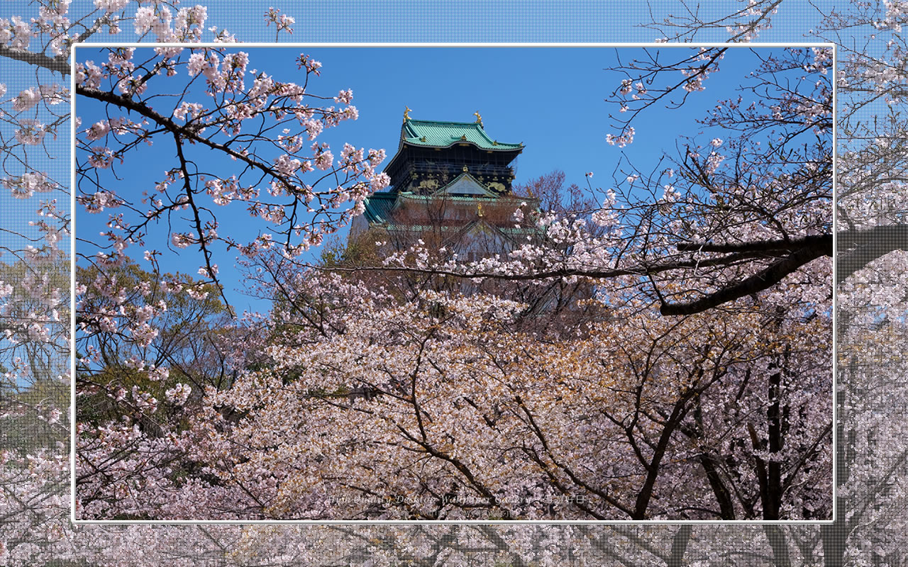 春爛漫の大阪城の壁紙/Wallpaper of Osaka Castle in spring (1280×800)