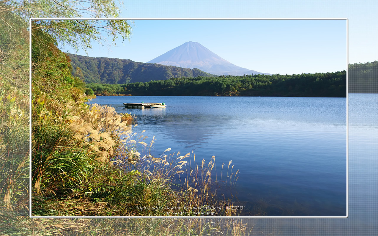 富士山の高画質&高解像度壁紙/Wallpaper of初秋の西湖 in Fuji Lake Districti (1280×800)