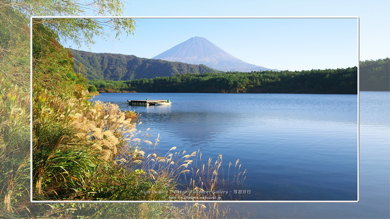 富士山の壁紙/Wallpaper of初秋の西湖 in Fuji Lake Districti (1366×768)