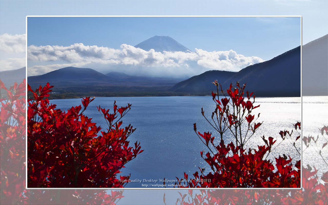富士山の高画質&高解像度壁紙/Wallpaper of紅葉と富士山 in Fuji Lake Districti (1280×800)