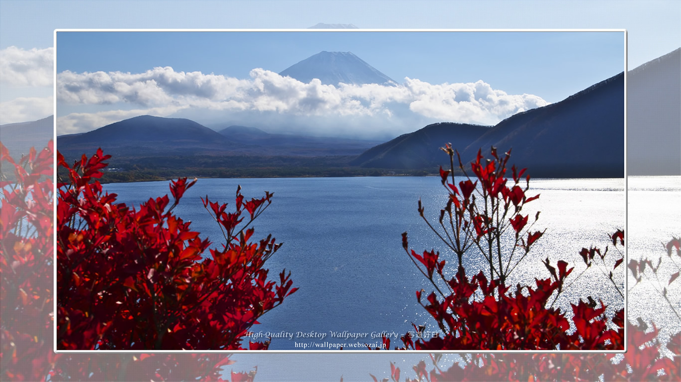 富士山の壁紙/Wallpaper of紅葉と富士山 in Fuji Lake Districti (1366×768)