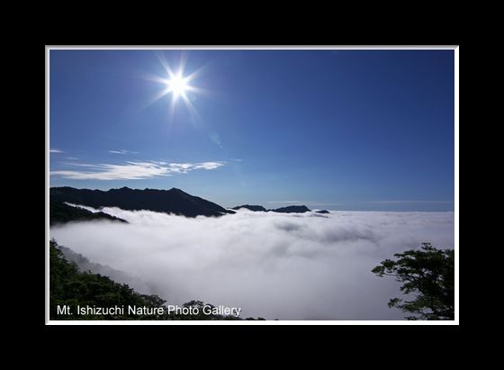 石鎚山系の大雲海