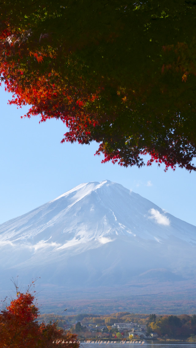 iPhone用高画質壁紙「紅葉と富士山」