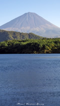 iPhone5用[640x1136]高画質壁紙「蒼空の西湖-Mt. Fuji」