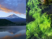 Wallpapers of nature and landscapes for iPhone 4s/4