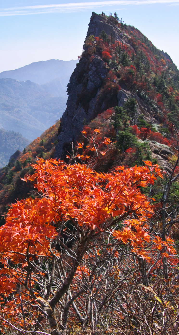 iOS 7-iPhone5用高画質壁紙「天狗岳紅葉」