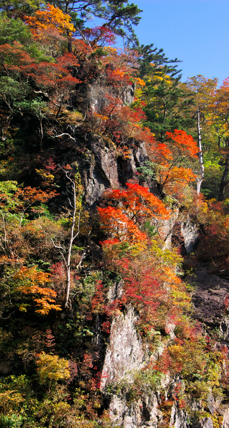 iOS 7-iPhone5用高画質壁紙「紅葉の北壁」