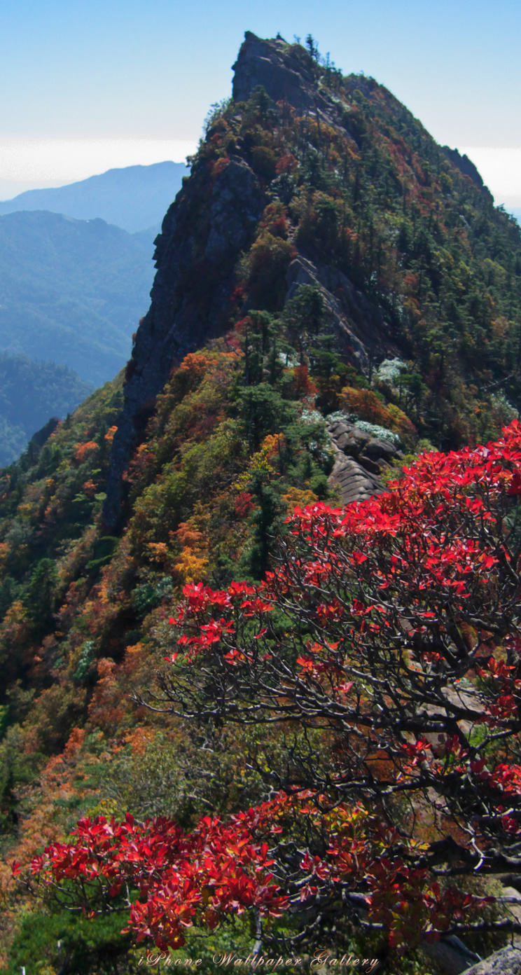 iOS 7-iPhone5用高画質壁紙「満天星紅葉」