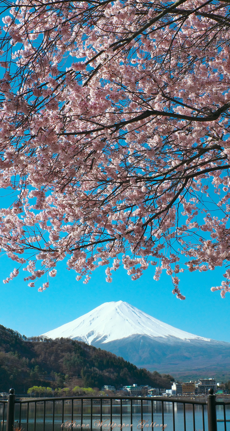 iOS 7-iPhone5用高画質壁紙「富士山-24」