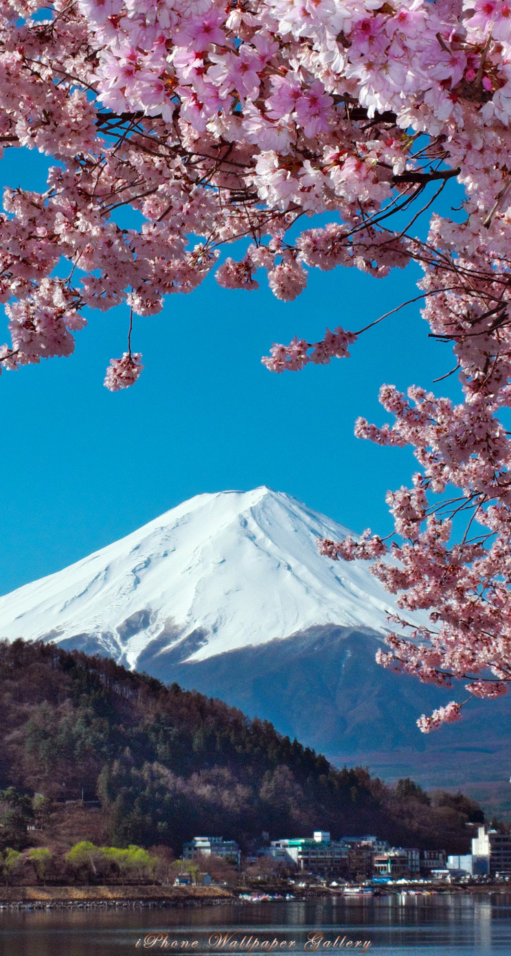 iOS 7-iPhone5用高画質壁紙「富士山-25」