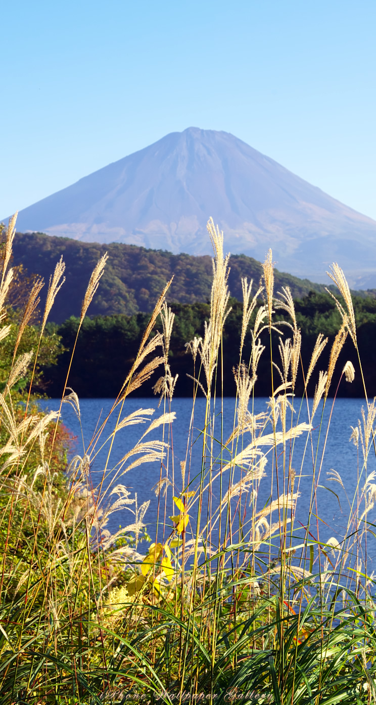 iOS 7-iPhone5用高画質壁紙「富士山-31」