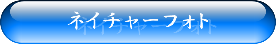 景勝地・観光スポット