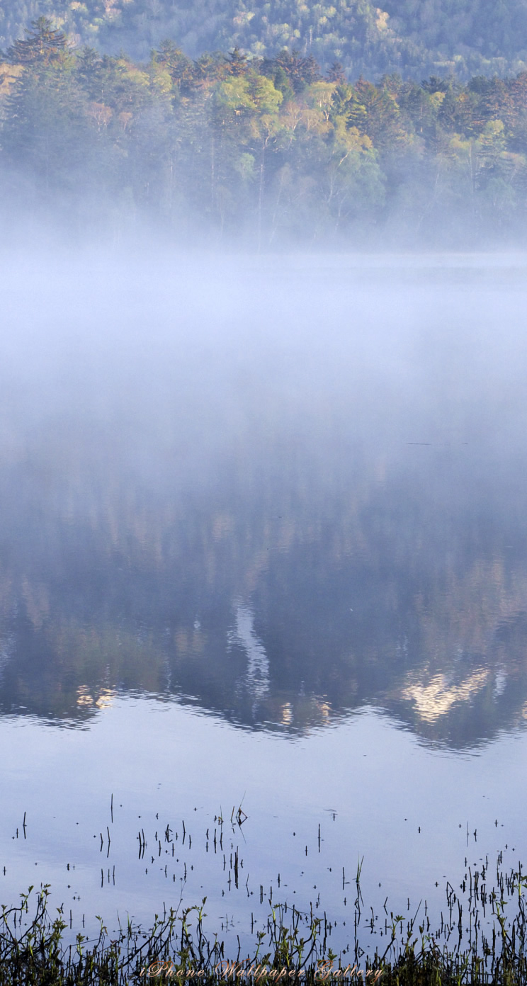 iOS 7-iPhone5用高画質壁紙「尾瀬沼霧景」