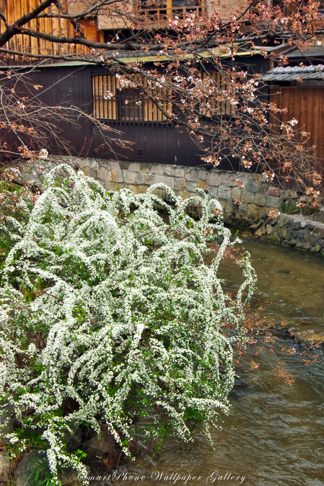 iPhone用高画質壁紙「京都-Kyoto」