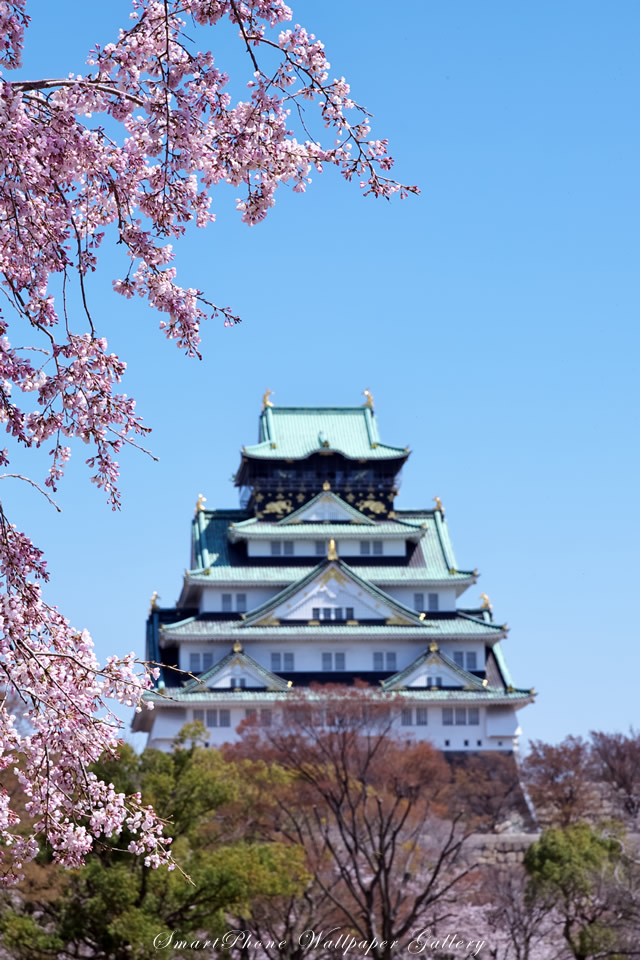 iPhone用高画質壁紙「大阪城-Osaka Castle」