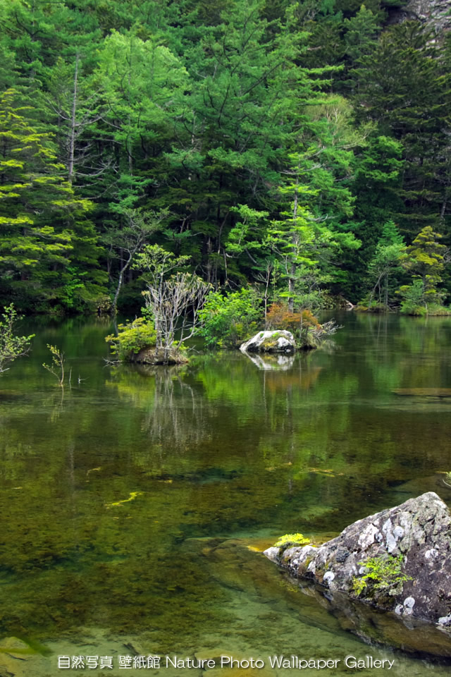 iPhone用高画質壁紙「明神池-Spring Pond」