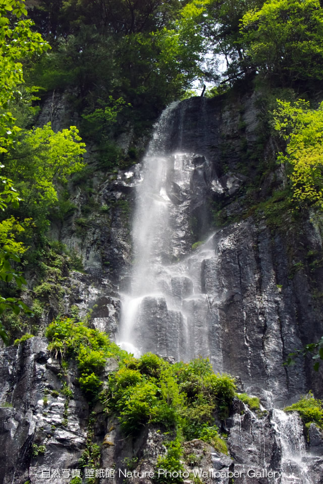 iPhone用高画質壁紙「新緑の滝-Waterfall」